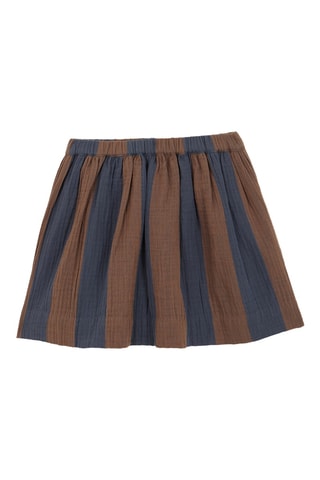 Jupe - Bleu-gris et marron