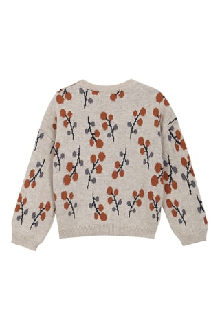 Pull - Gris chiné
