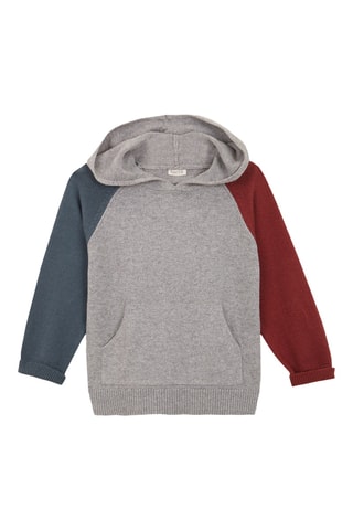 Pull à capuche - Gris clair