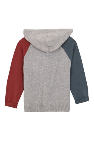 Pull à capuche - Gris clair