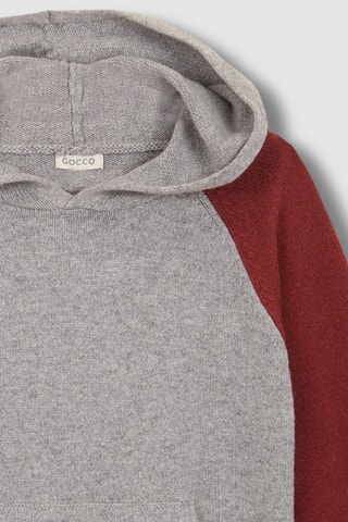 Pull à capuche - Gris clair
