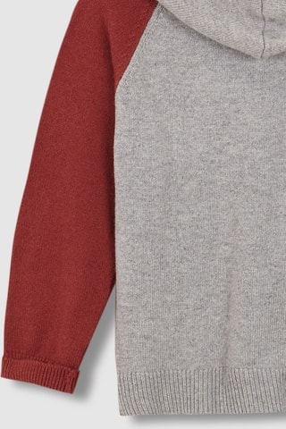 Pull à capuche - Gris clair