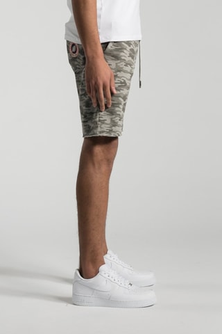 Short droit Terry Print - Gris