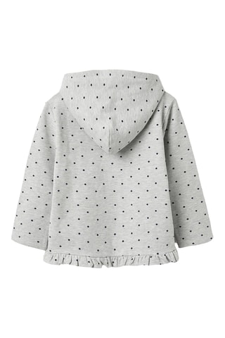 Sweater met Capuchon - Lichtgrijs 