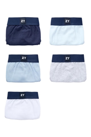 5 slips - Blanc et bleu marine