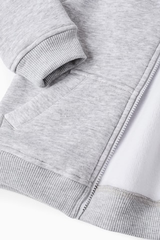 Sweater met Capuchon - Gemêleerd Grijs