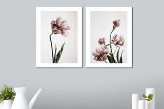 2 quadros 30 x 40 cm