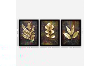 3 quadros 35 x 45 cm