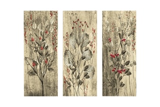 3 quadros