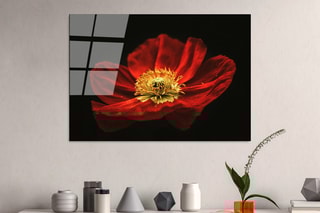 Tableau - 100 x 70 cm