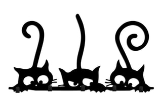 Bengaleiro de parede Hidden Cats Preto