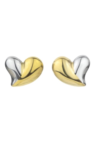 Brincos - Dourado e prateado