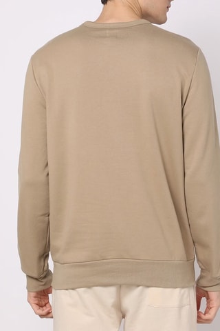 Sweater - Bruin