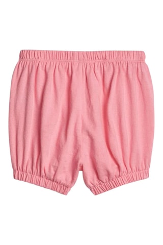 Short- Rose