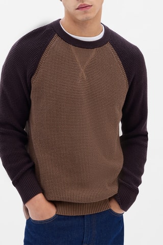Sweater - Bruin