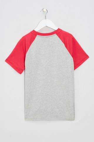 T-shirt - Gemêleerd Grijs