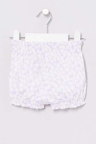 Short - Violet