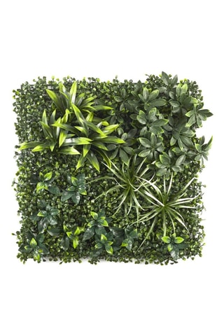 Plante artificielle murale - 50 x 6 x 50 cm - Vert