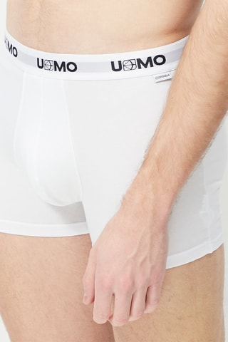 Boxer - Blanc