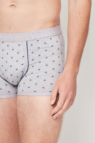 Boxer - Gris