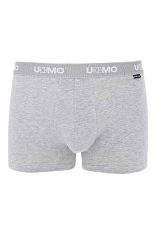 Boxer - Gris chiné