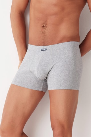 Boxer - Gris chiné