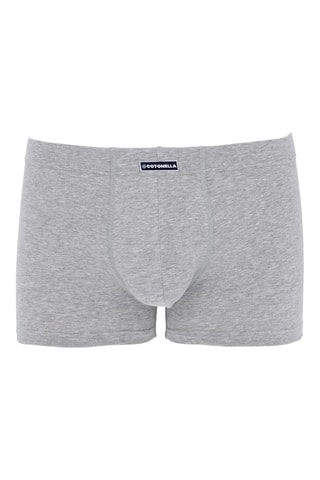Boxer - Gris chiné