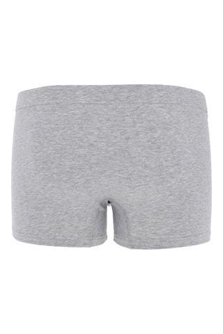 Boxer - Gris chiné