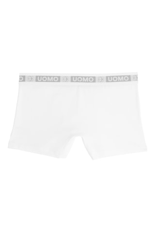 Boxer - Blanc
