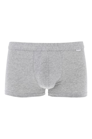 Boxer - Gris chiné