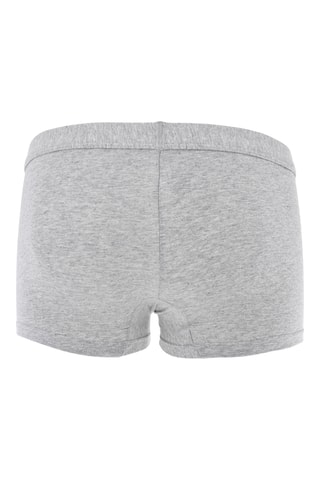 Boxer - Gris chiné