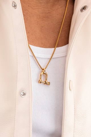Colar D-Shackle - Dourado
