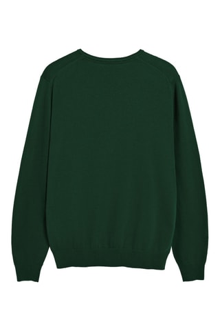 Pull - Vert