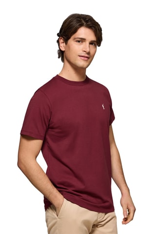 2 t-shirts regular - Bleu gris et bordeaux