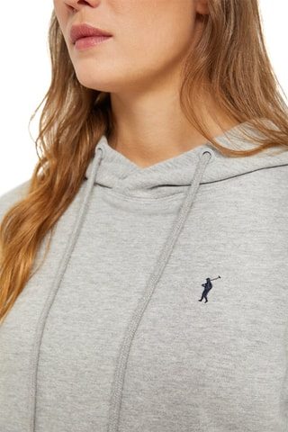 Sweat à capuche Gris