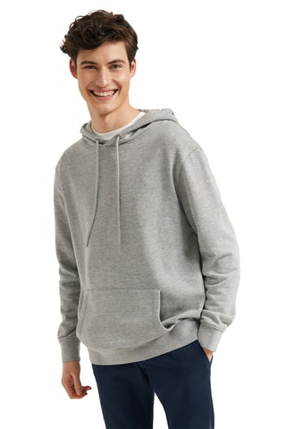 Sweat à capuche Gris