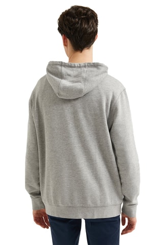 Sweat à capuche Gris