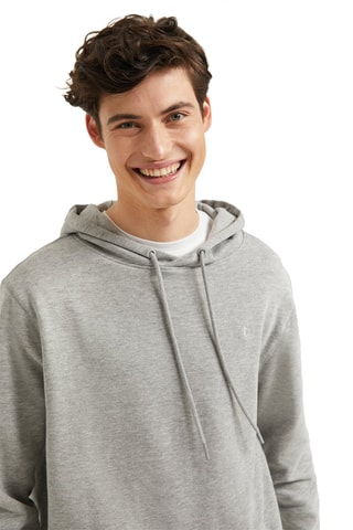 Sweat à capuche Gris