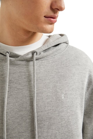 Sweat à capuche Gris