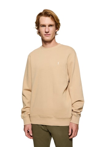 Sweat - Camel