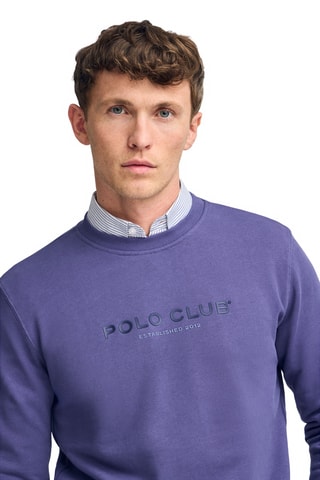 Sweat regular - Violet