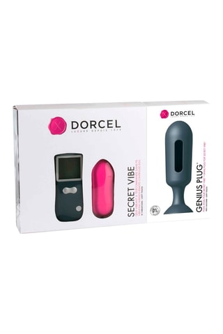Œuf vibrant télécommandé Secret Vibe et plug anal Genius Plus - Gris et rose - 8 et 11,7 cm