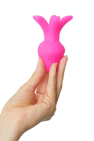 Vibromasseur Tutti Frutti - Rose