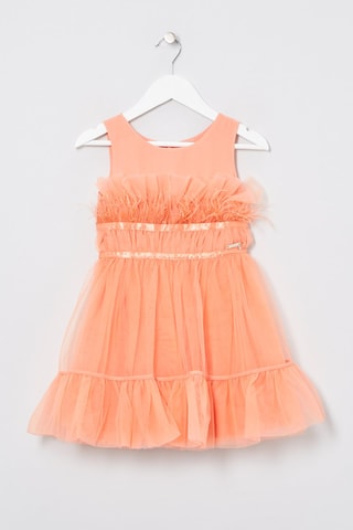 Robe Saumon
