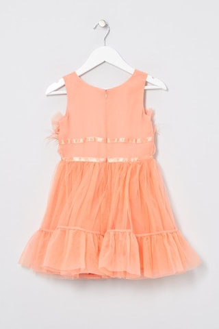 Robe Saumon