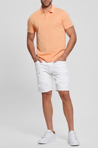 Polo Paul - Saumon