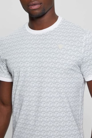T-shirt Colin - Gris et blanc