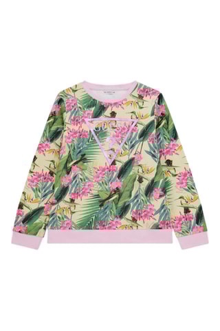 Sweat - Rose