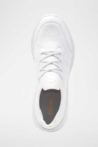 Tennis - Blanc