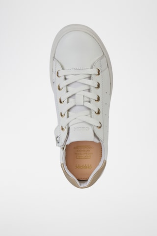 Baskets en cuir Nashik B - Blanc